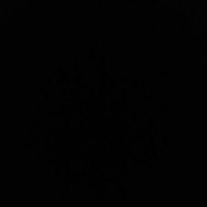 Meet your Posher, Lane